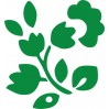 Rozkvetlá květina