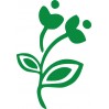 Nástěná květina
