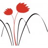 Tulipán