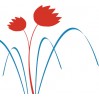 Tulipán