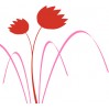 Tulipán