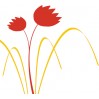 Tulipán